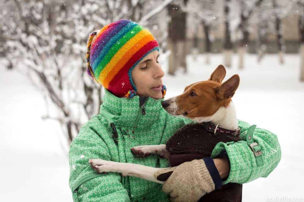 hugging a basenji in the snow