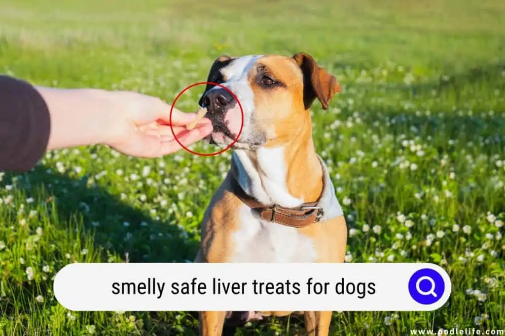 liver treats for dogs