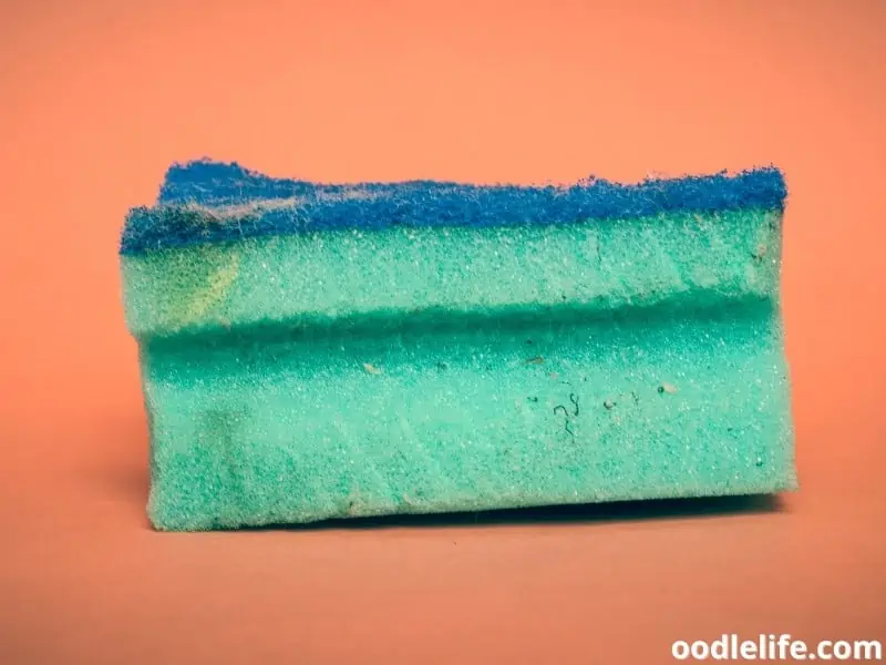 old sponge can remove dog hairs