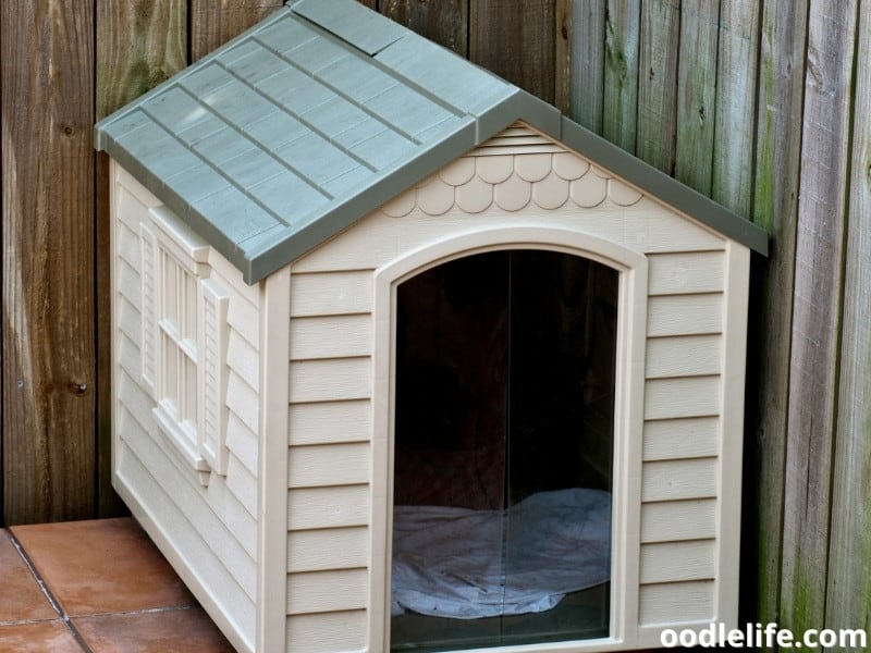 plastic dog house outdoors