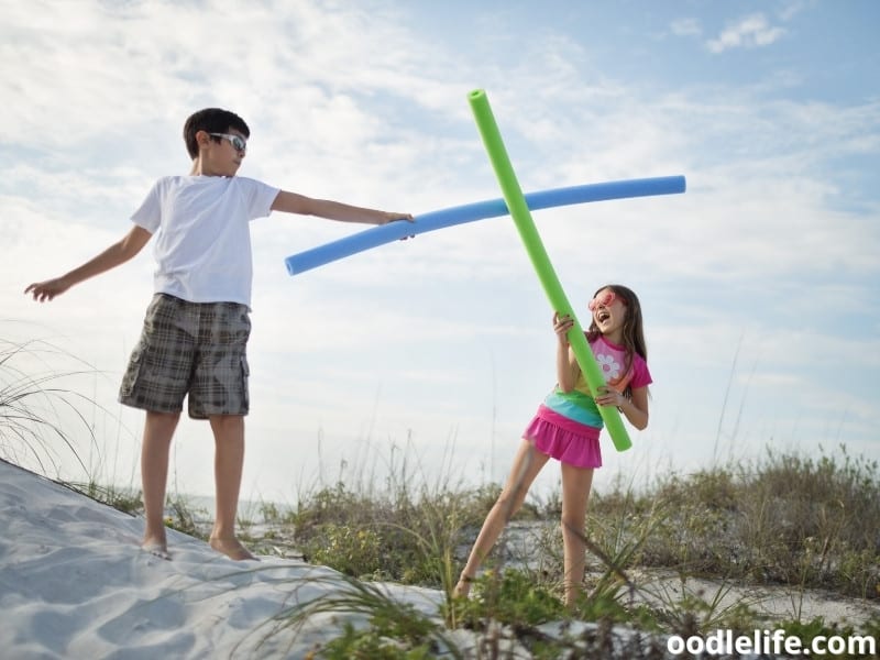 2 Ways To Make Pool Noodle Dog Collar Oodle Life