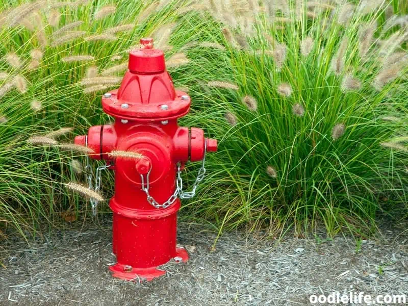 red fire hydrant outside