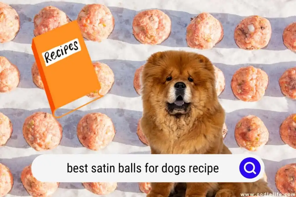 satin balls for dogs