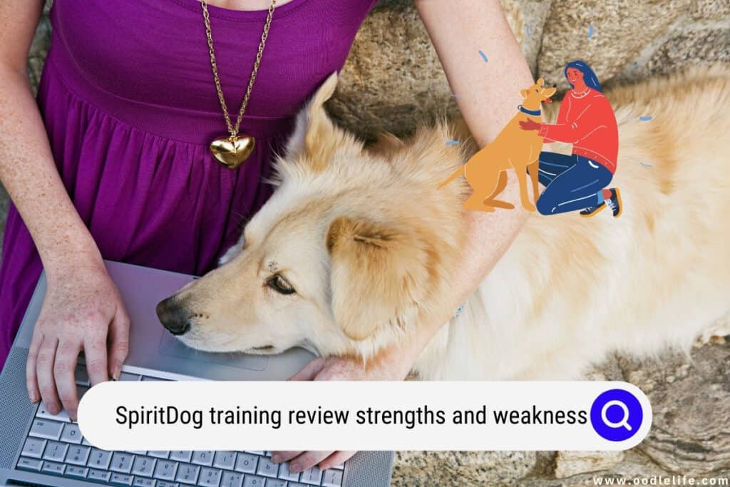 SpiritDog training review