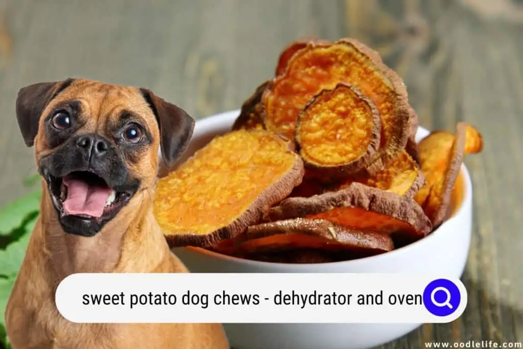 sweet potato dog chews