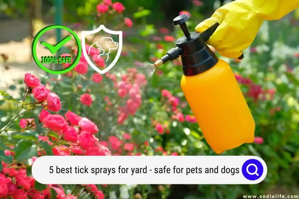 tick sprays for yard