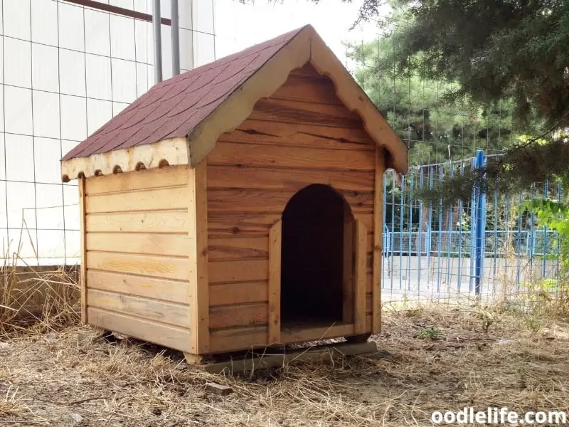 wooden dog kennel in the garden