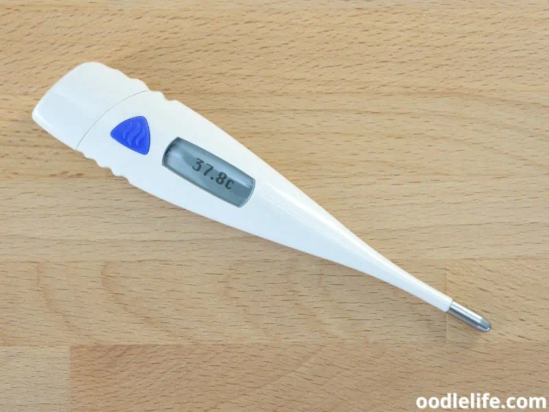 a digital thermometer on the floor