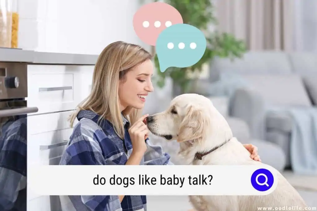 do dogs like baby talk