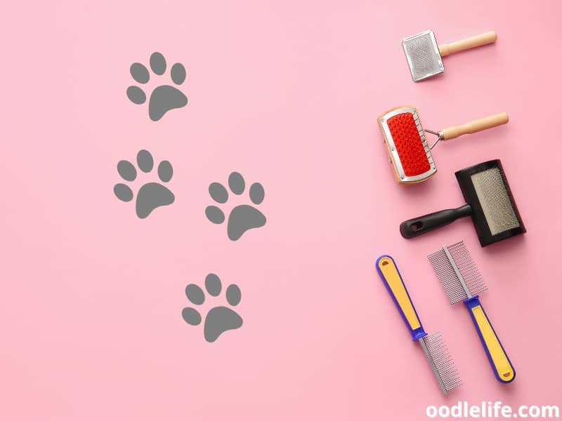 dog brushes on a pink background