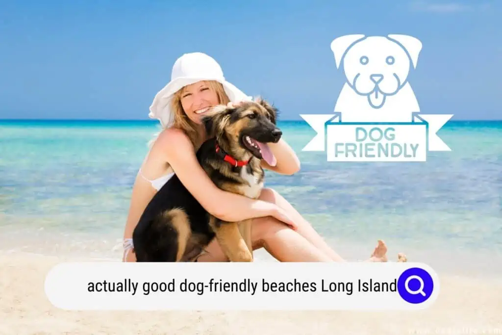 dog-friendly beaches long island