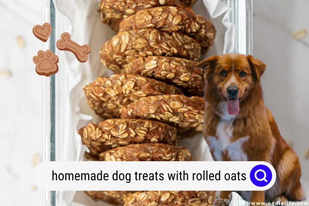 homemade dog treats with rolled oats