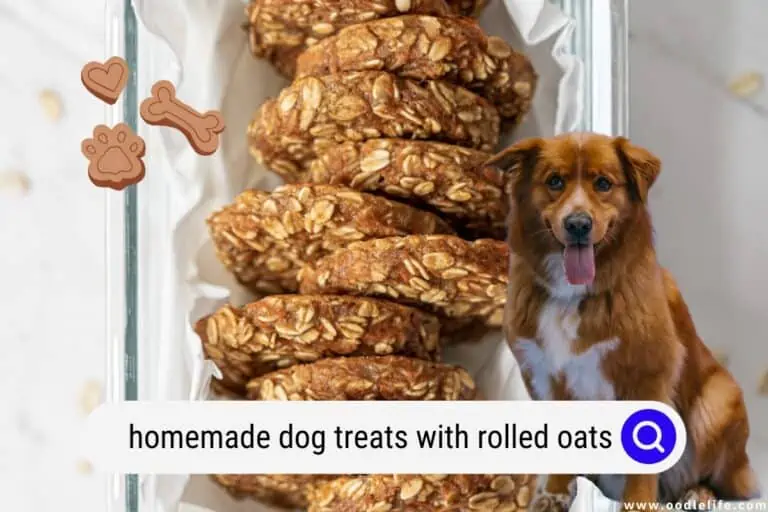 Homemade Dog Treats with Rolled Oats  