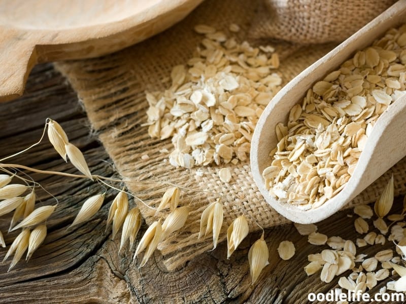 No Dog Shampoo What Can I Use? (Real Alternatives) Oodle Life