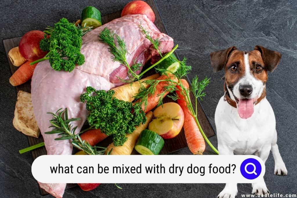 what can be mixed with dry dog food