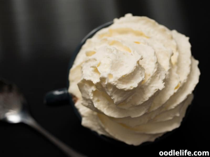 What Is A Starbucks Puppuccino, And How Do I Get One? - Oodle Life