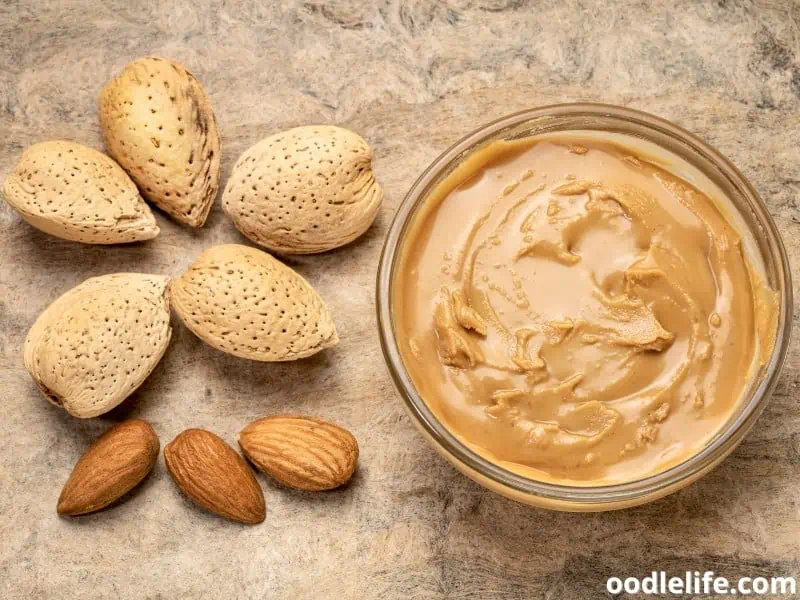almond butter and nuts for dogs