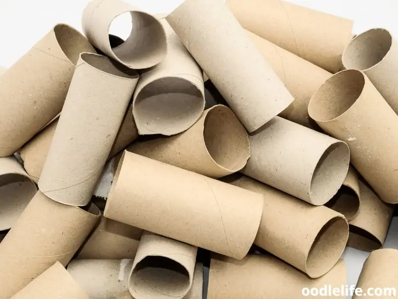 bunch of empty toilet paper rolls