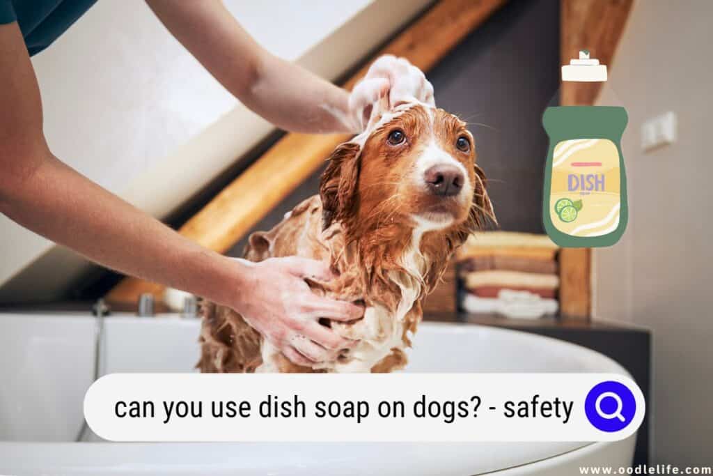 can you use dish soap on dogs