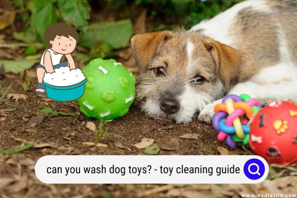 can you wash dog toys