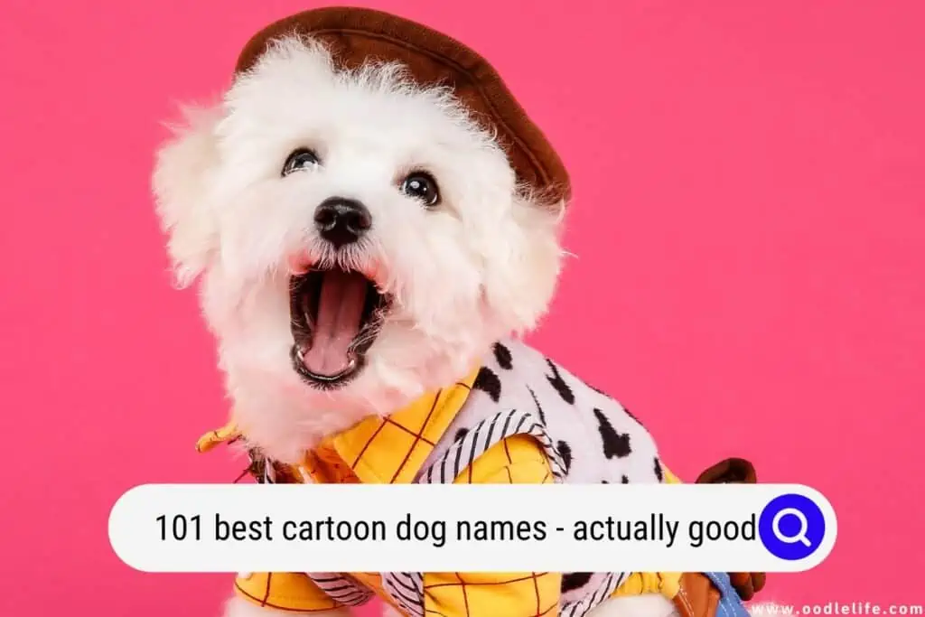 cartoon dog names