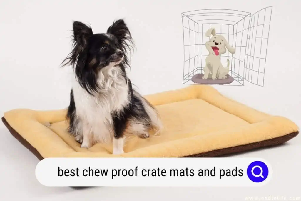 chew proof crate mats and pads