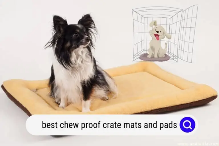 Best Chew Proof Crate Mats And Pads (2024)
