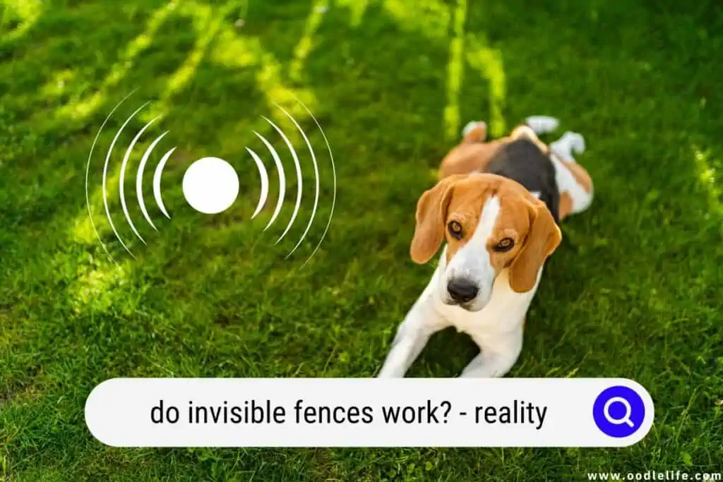 do invisible fences work