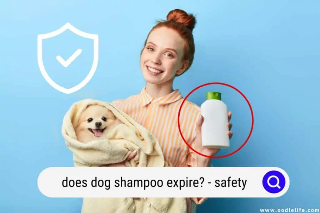 does dog shampoo expire