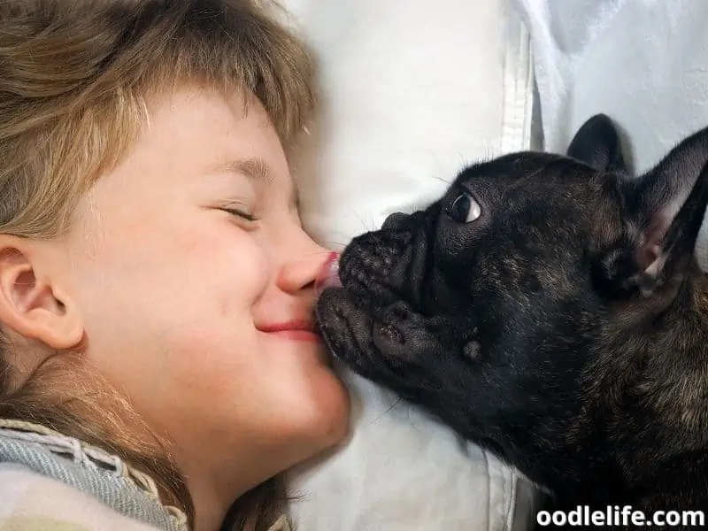 dog licks her little girl owner