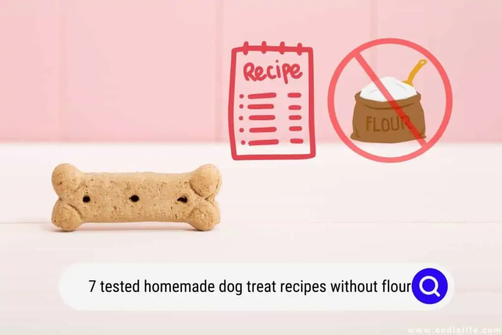 homemade dog treat recipes without flour