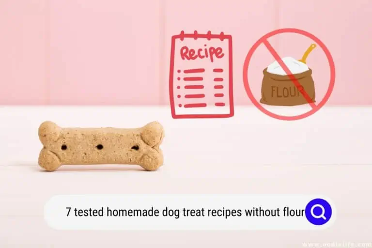 7 Tested Homemade Dog Treat Recipes Without Flour