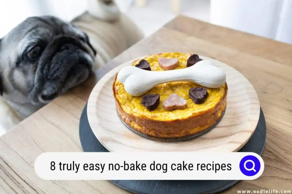 no-bake dog cake