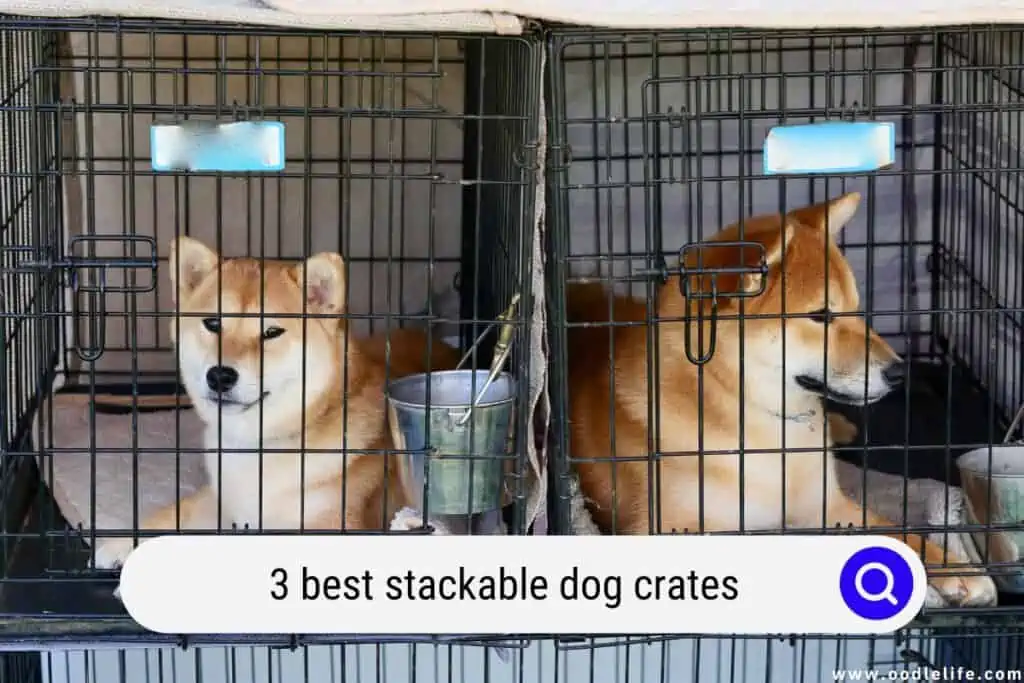 stackable dog crates