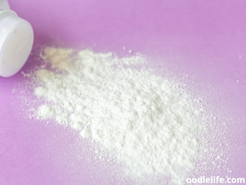 No Dog Shampoo What Can I Use? (Real Alternatives) Oodle Life