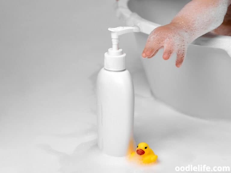 No Dog Shampoo What Can I Use? (Real Alternatives) Oodle Life