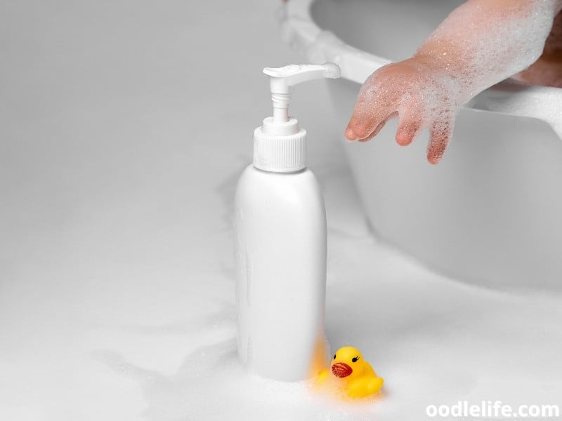 No Dog Shampoo What Can I Use? (Real Alternatives) Oodle Life