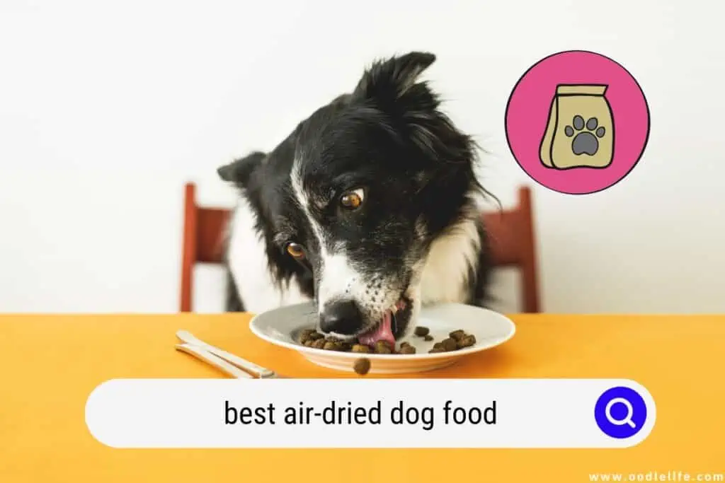 best air-dried dog food