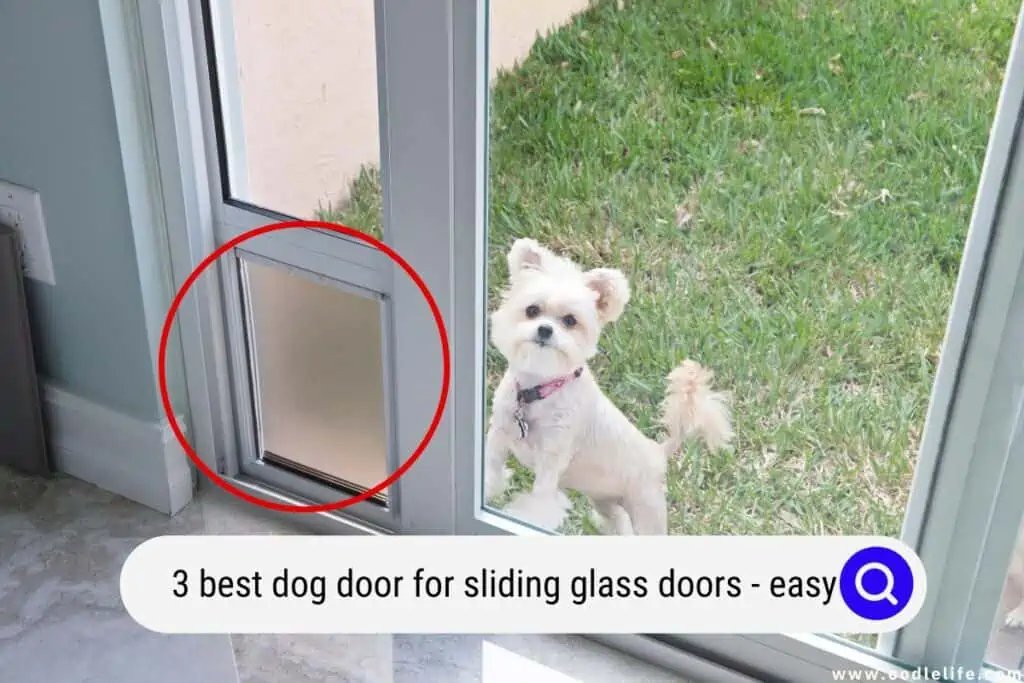 best dog door for sliding glass door