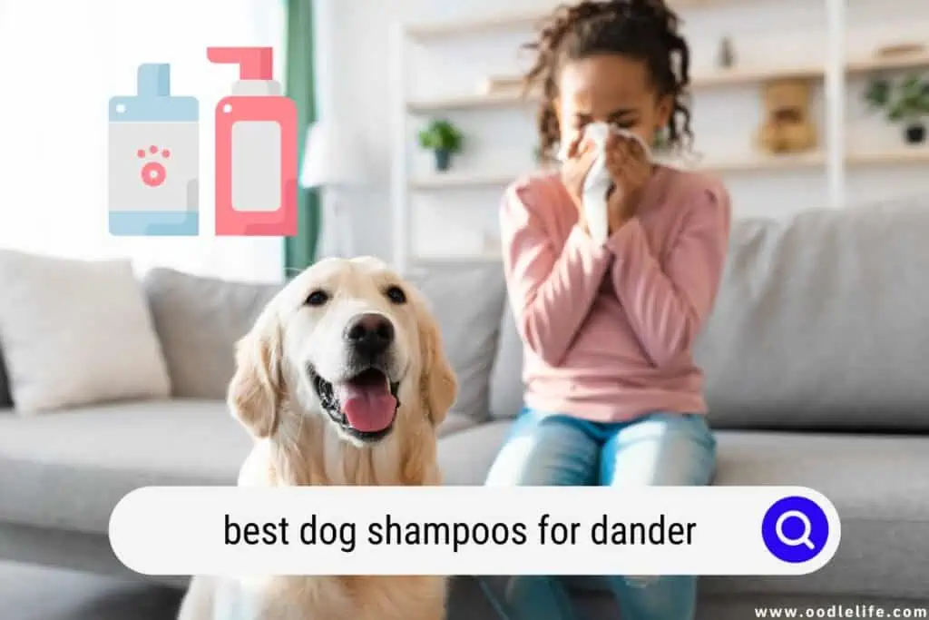 best dog shampoos for dander
