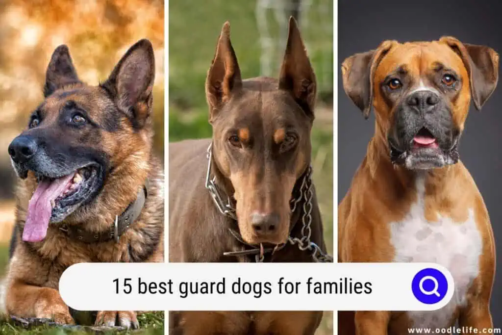 a good guard dog good with family