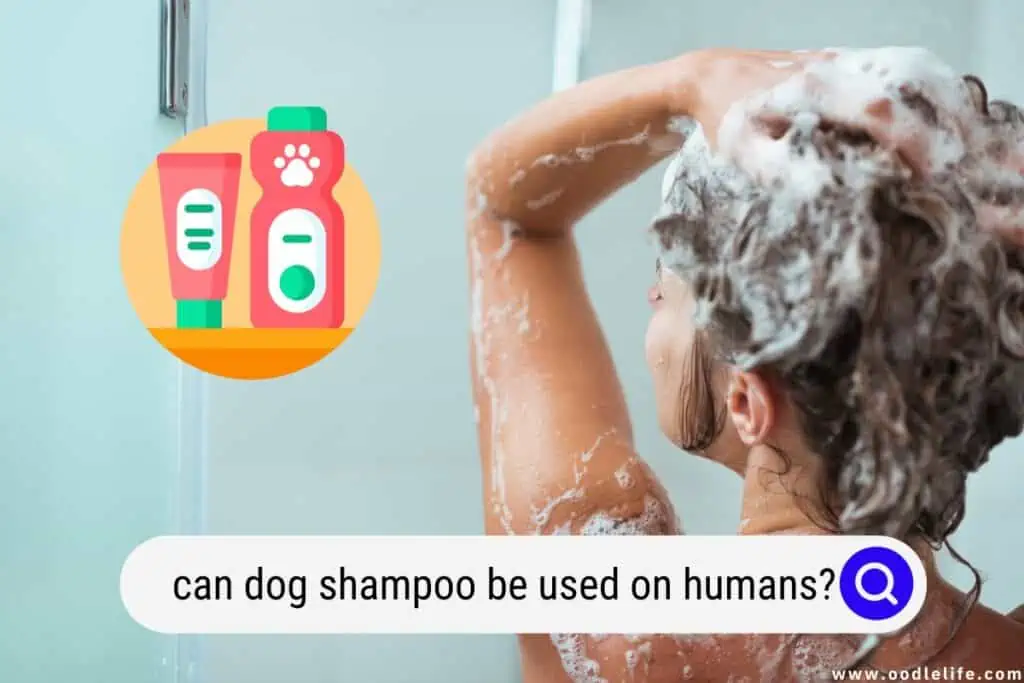 can dog shampoo be used on humans