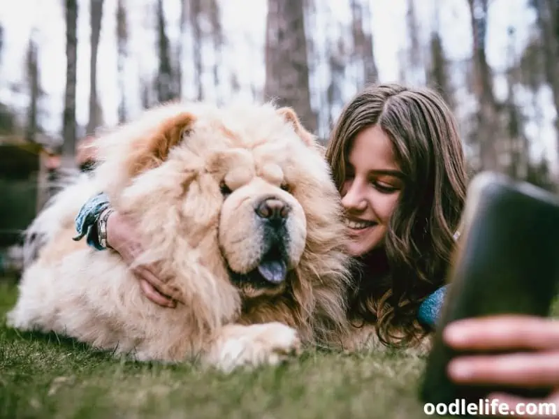 Chow Chow and owner takes a photo