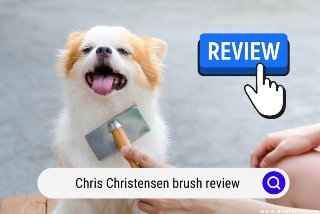 Chris Christensen brush