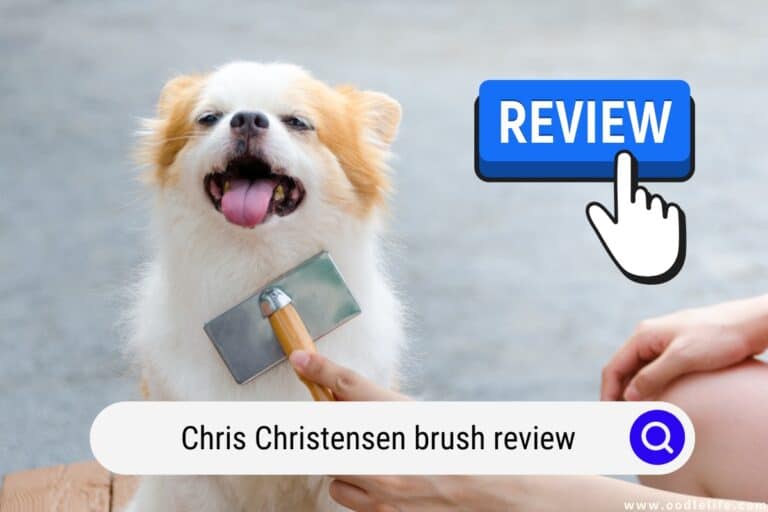 The Chris Christensen Brush Review (2026)