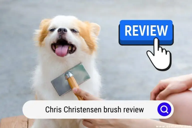 The Chris Christensen Brush Review (2023)