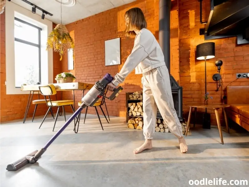 dog owner vacuums the floor