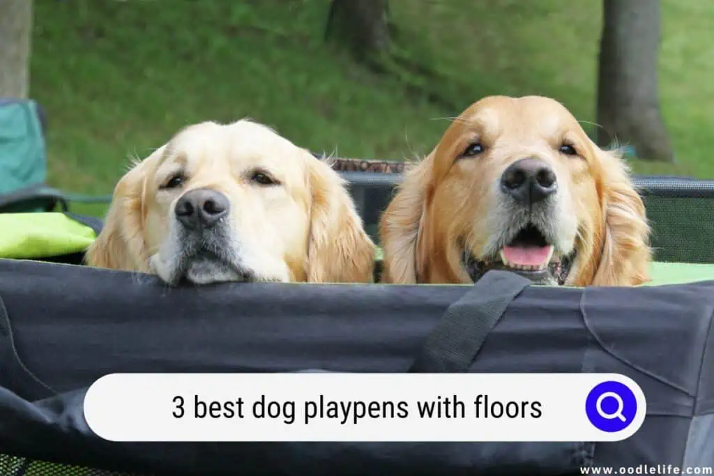 dog playpens with floor