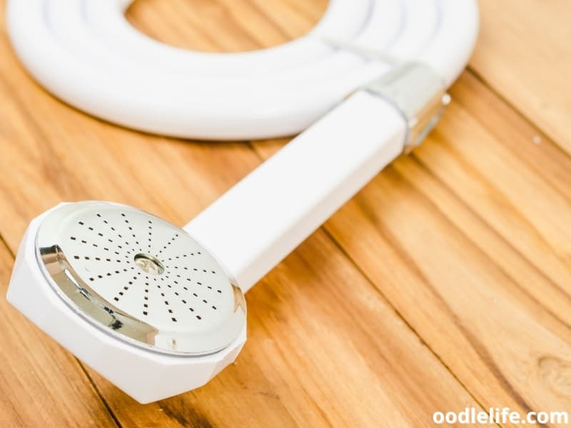 Best Dog Shower Attachments (2023) Oodle Life