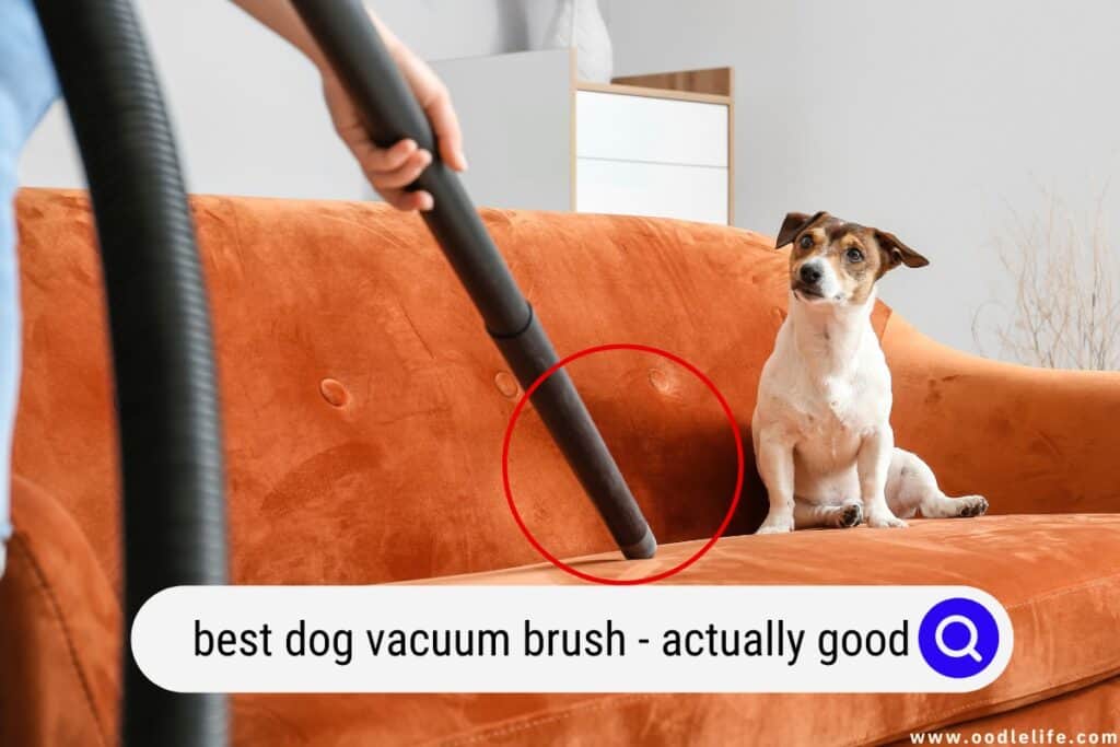 dog vacuum brush